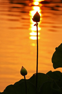 马竞客场大胜，继续保持不败纪录