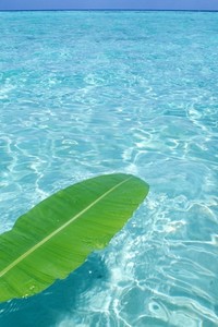 热刺遭遇失利，水晶宫客场抢分