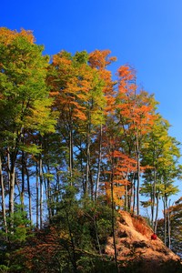 克罗托内意外客胜，联赛排名逐渐攀升