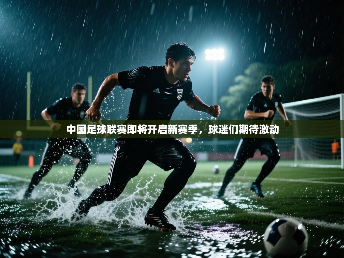 中国足球联赛即将开启新赛季，球迷们期待激动  第1张