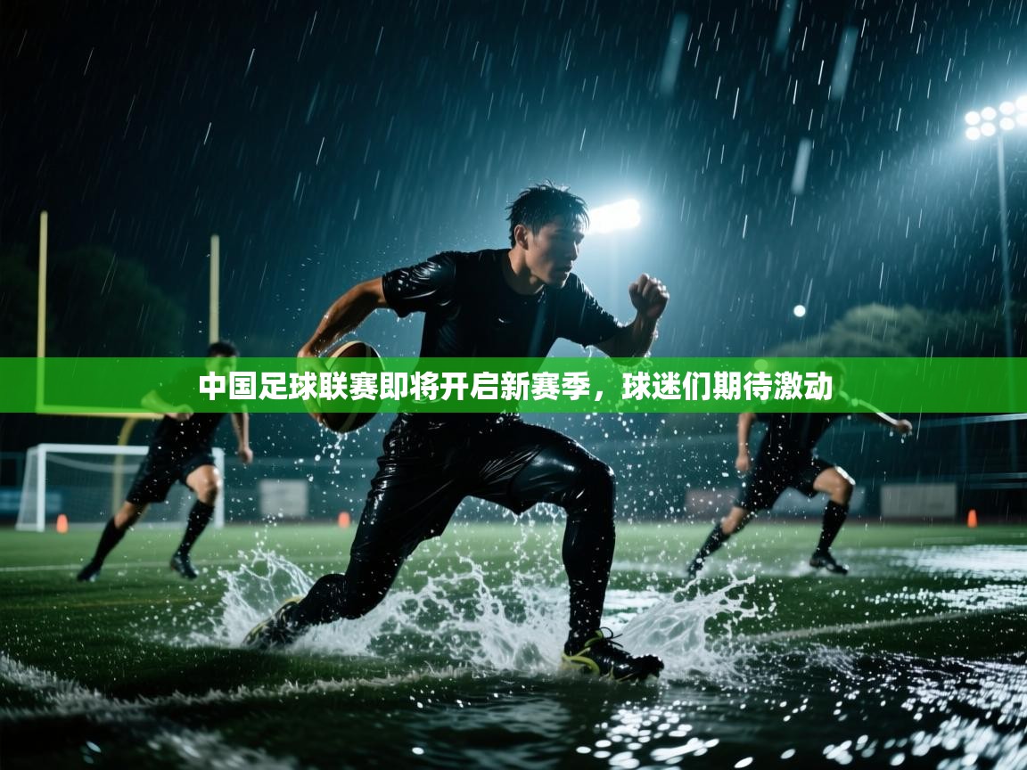 中国足球联赛即将开启新赛季，球迷们期待激动  第2张