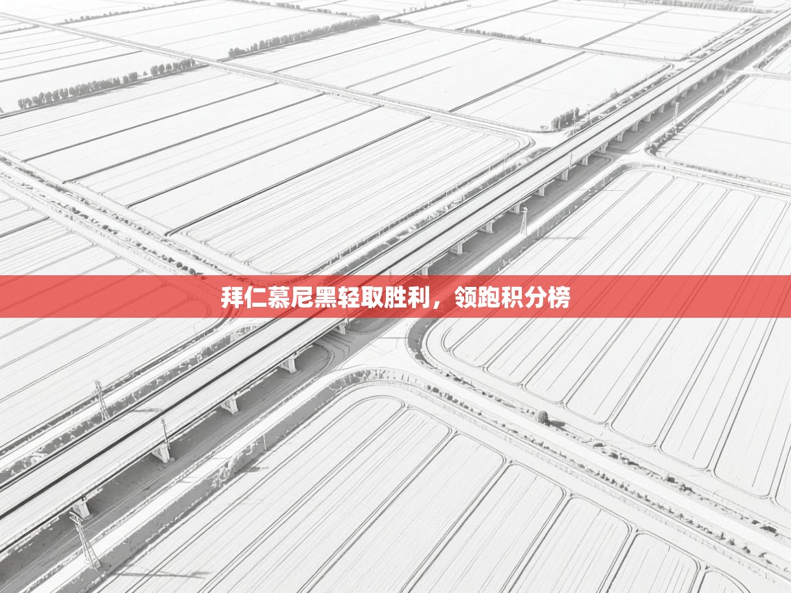 拜仁慕尼黑轻取胜利,领跑积分榜 第1张