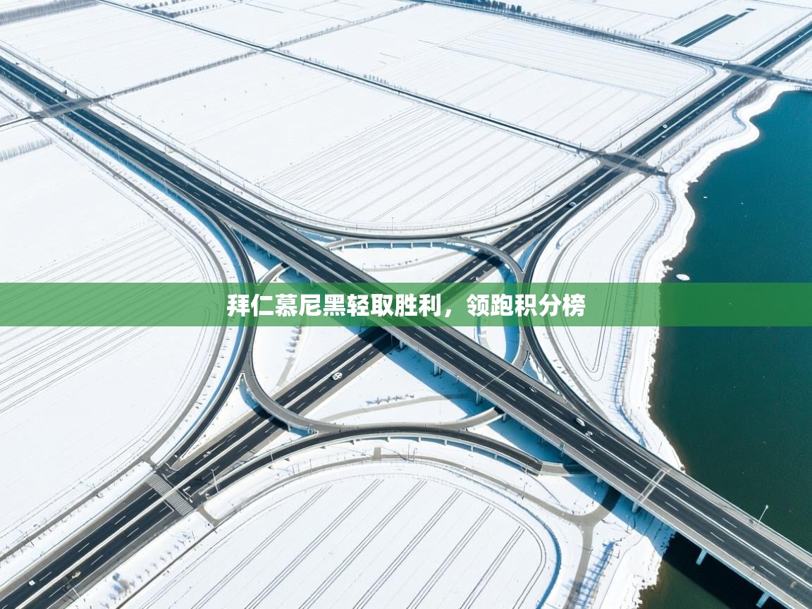 拜仁慕尼黑轻取胜利,领跑积分榜 第2张